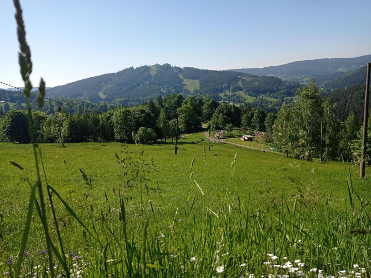 Apartmany Kynast Albrechtice v Jizerskych horach Luaran gambar